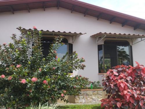 IMG-20240723-WA0014(1)